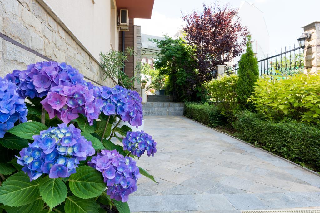 فندق Siena House سوزوبول المظهر الخارجي الصورة